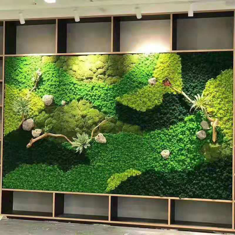 Preserved Moss Sheet - 20G Kunstmatige Groene Mosplanten Eeuwig Leven