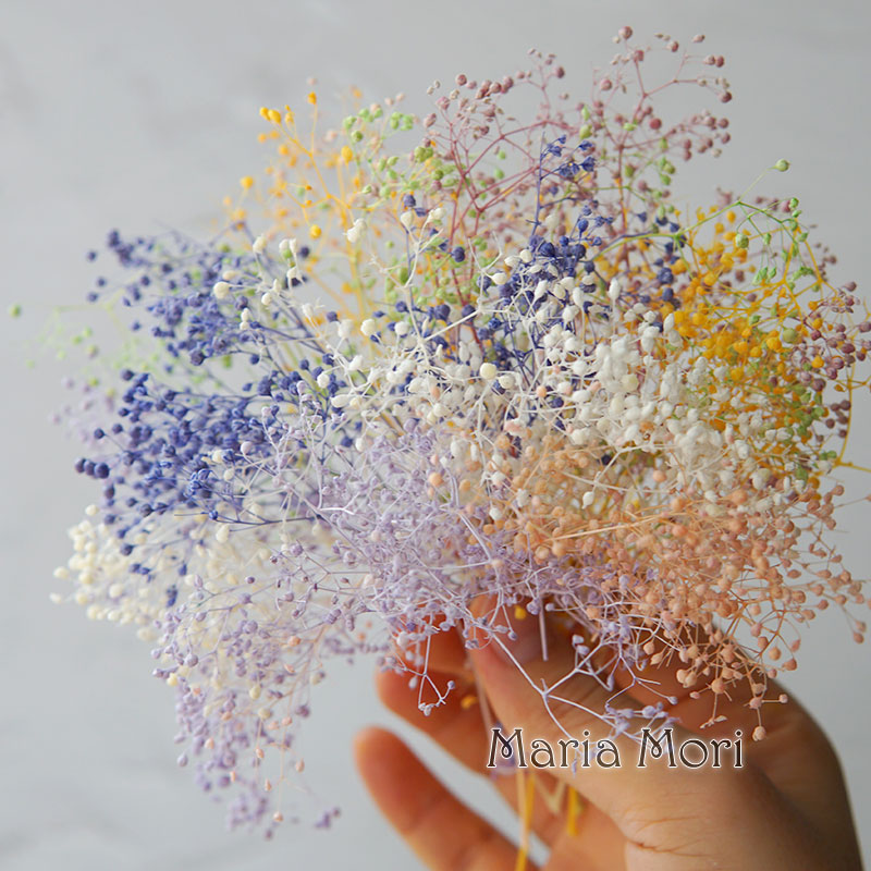 Baby Breath Dried - 5g/Mini Baby Adem Gedroogde Bewaarde Bloemen
