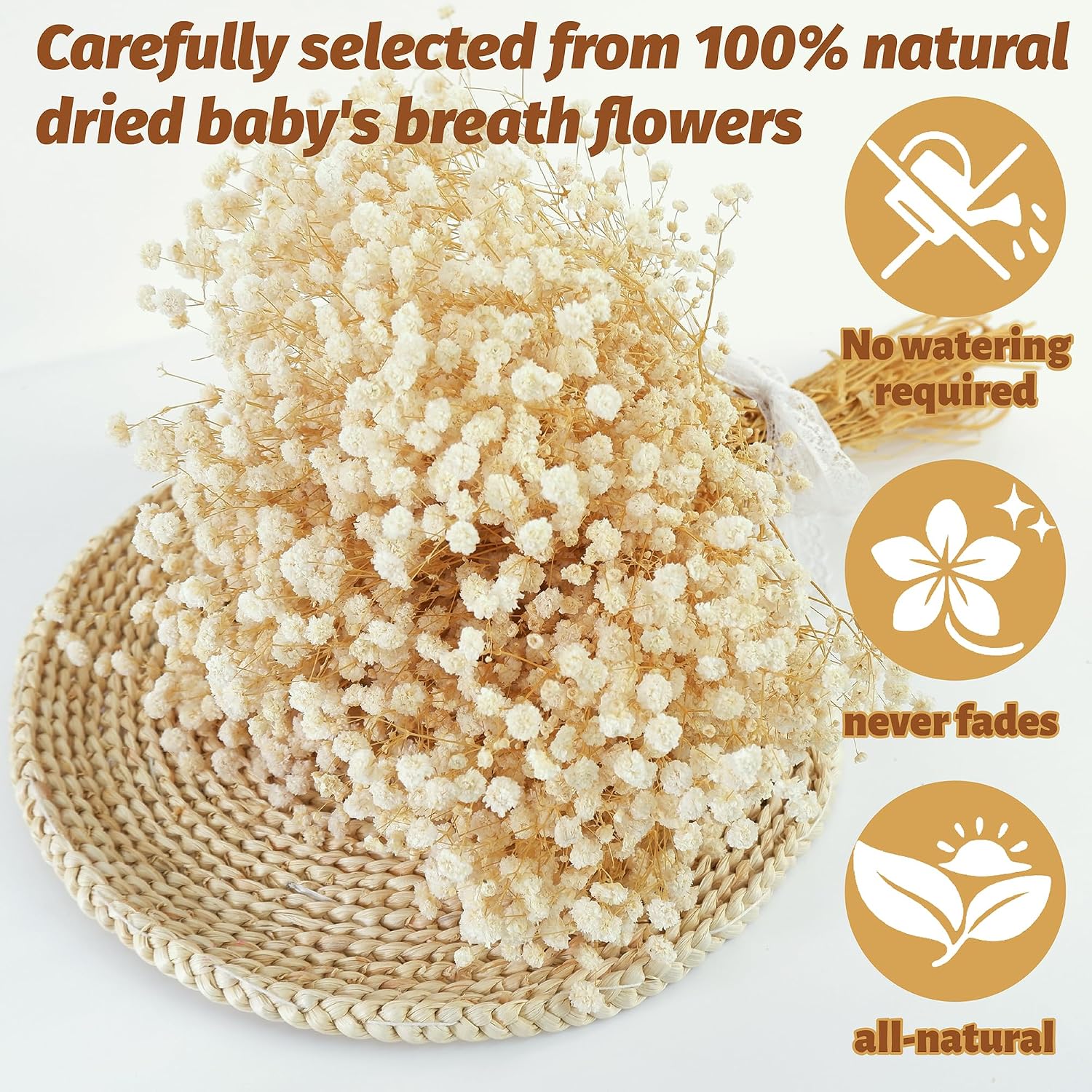 Natuurlijke gedroogde baby's a - Baby Breath Dried recensie en prijs