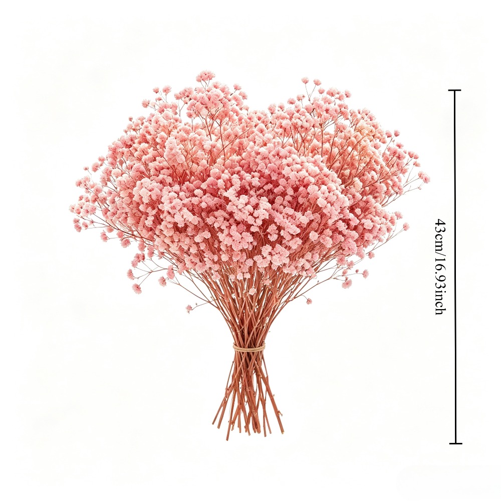 Natuurlijk geconserveerd roze  - Baby Breath Dried recensie en prijs