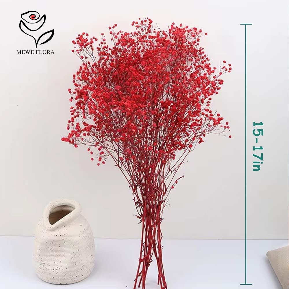Gedroogde Babys Adem Bloem Boe - Baby Breath Dried recensie en prijs