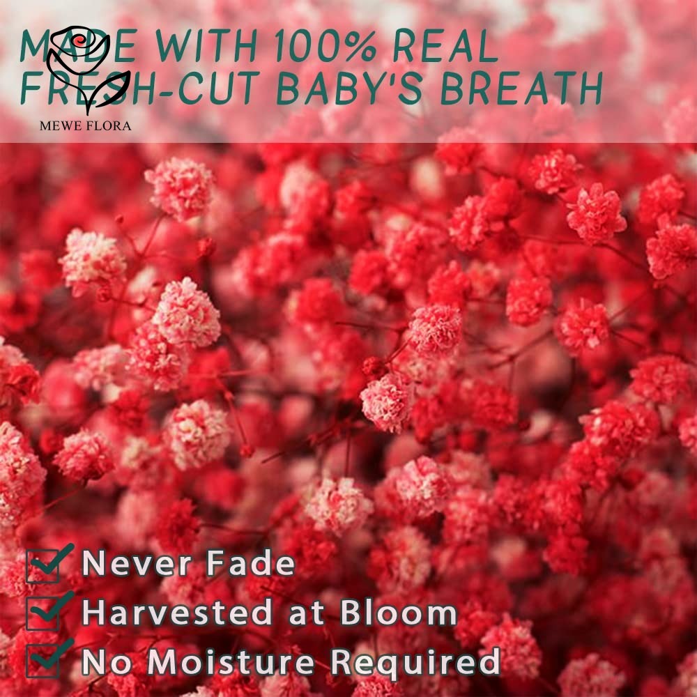 Gedroogde Babys Adem Bloem Boe - Baby Breath Dried recensie en prijs