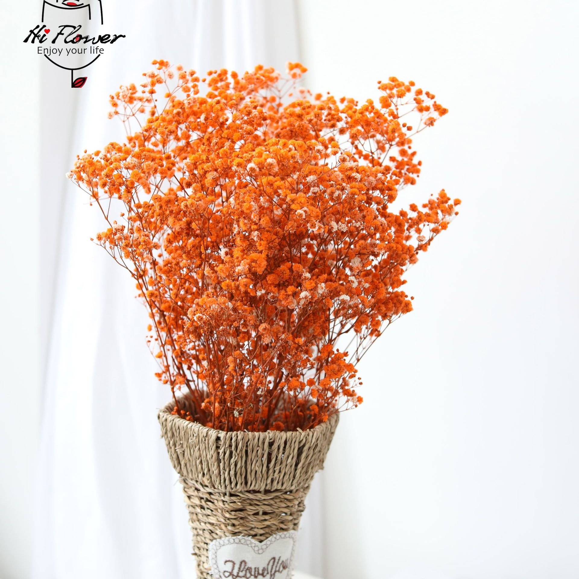 Natuurlijke Gedroogde Bloemen  - Baby Breath Dried recensie en prijs