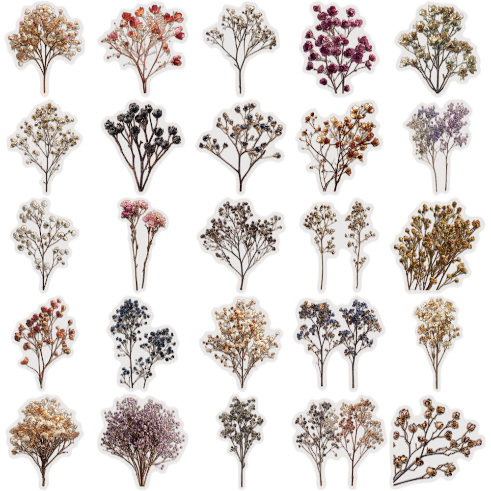 50 stuks vintage gedroogde bab - Baby Breath Dried recensie en prijs
