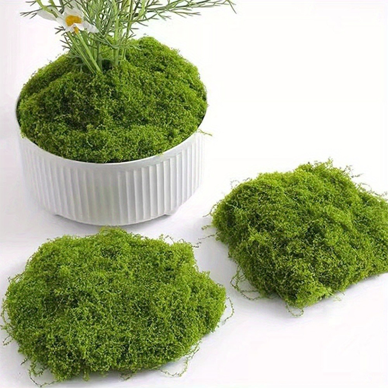 Groen nep mos DIY ambachten gr - Preserved Moss Sheet recensie en prijs