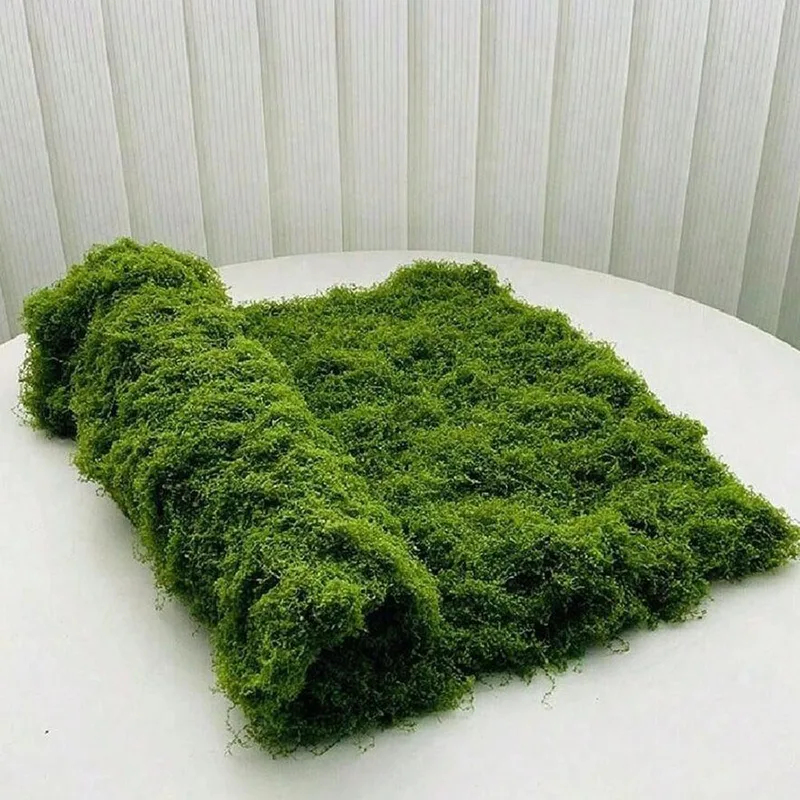 Kunstmatig mos voor het decore - Preserved Moss Sheet recensie en prijs