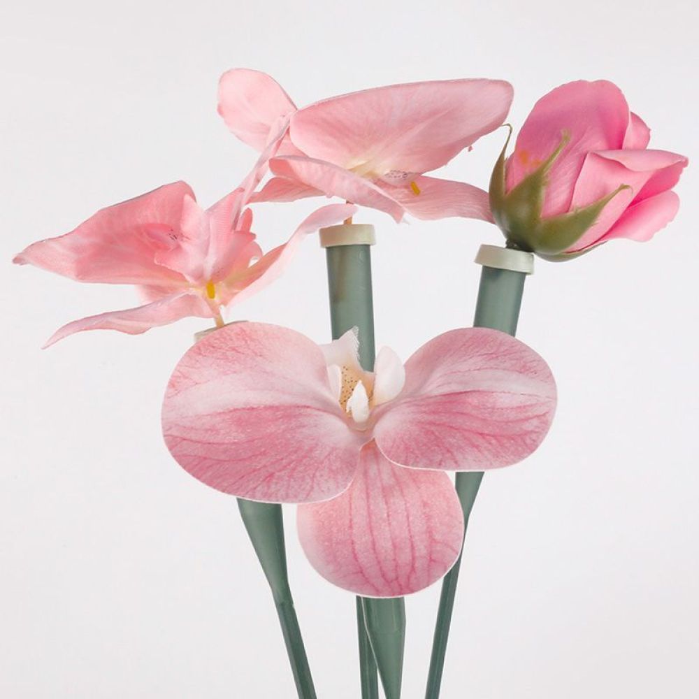Bloemenconserveringsbuizen Tra - Florist Supply Shop recensie en prijs