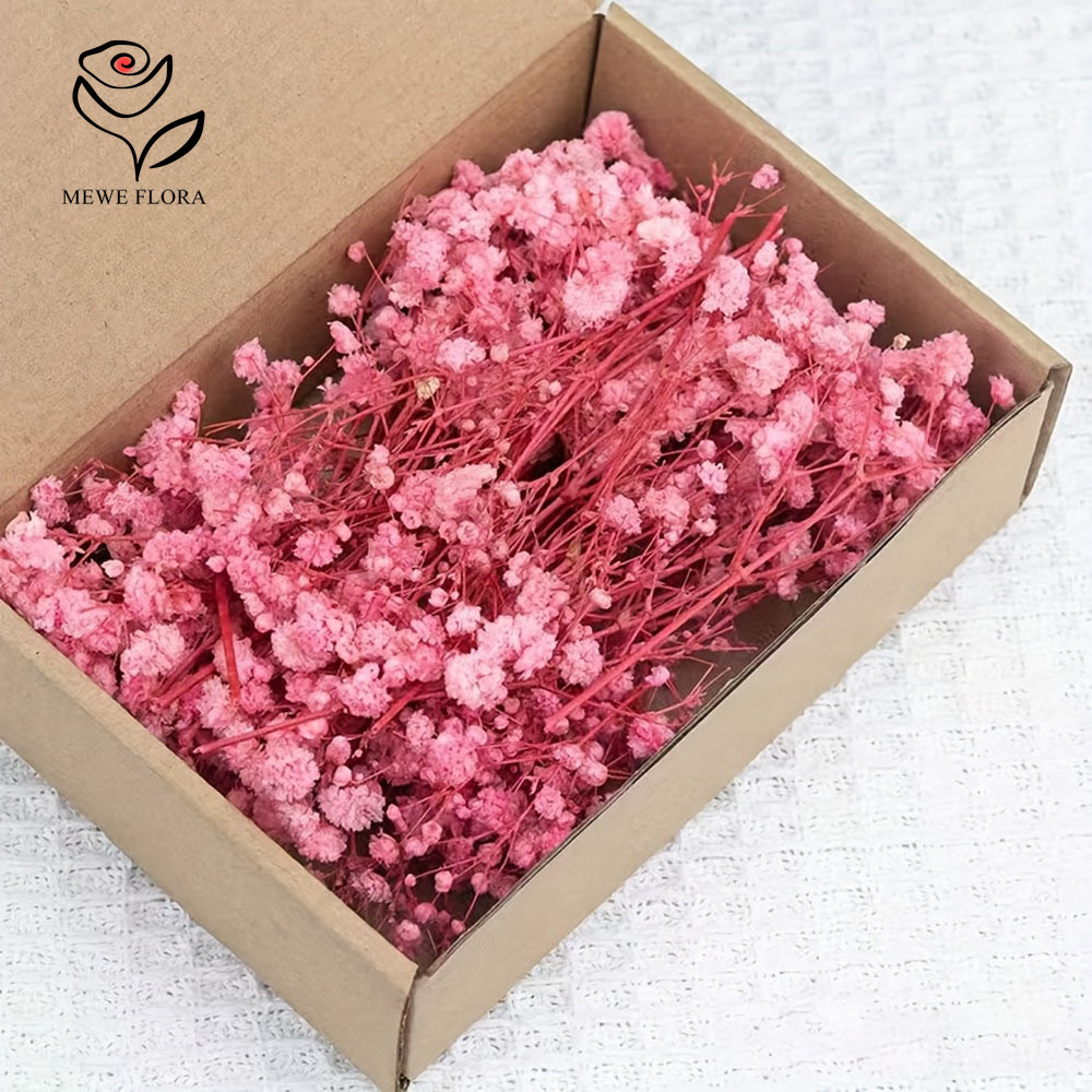 100% kleine tak gedroogde gips - Baby Breath Dried recensie en prijs