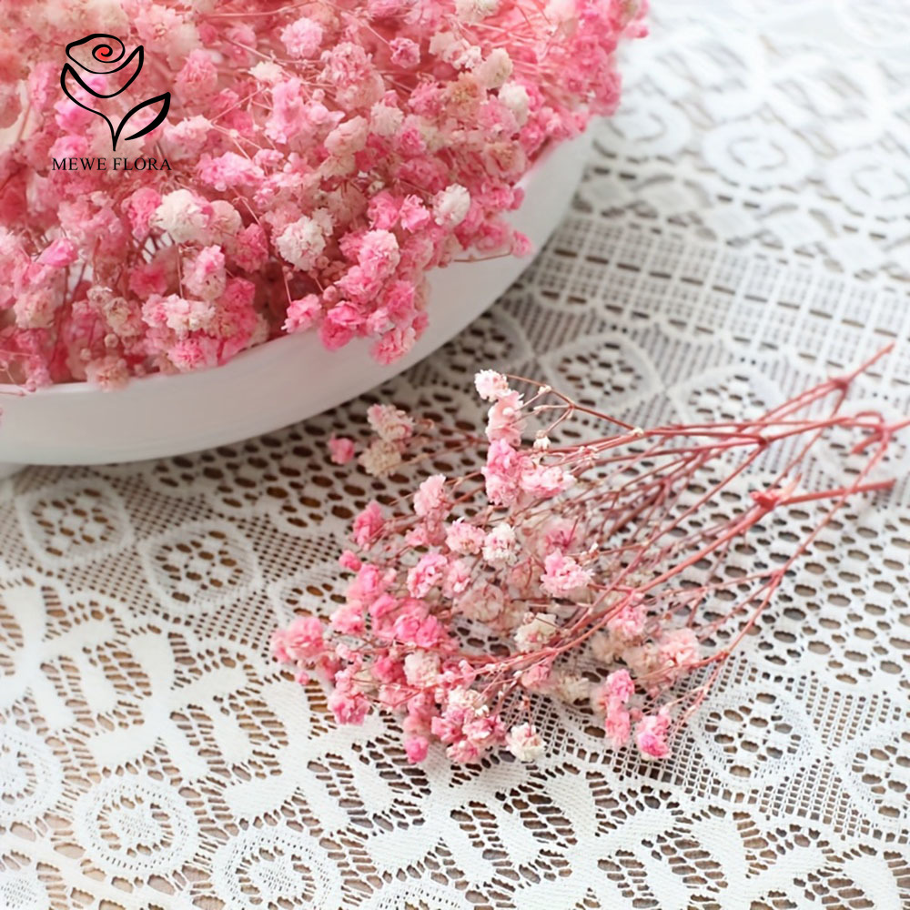 100% kleine tak gedroogde gips - Baby Breath Dried recensie en prijs